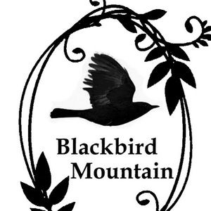 Meet your Posher, Blackbird